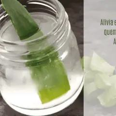 Hoja de aloe vera en un frasco con agua, ideal para aliviar quemaduras solares.