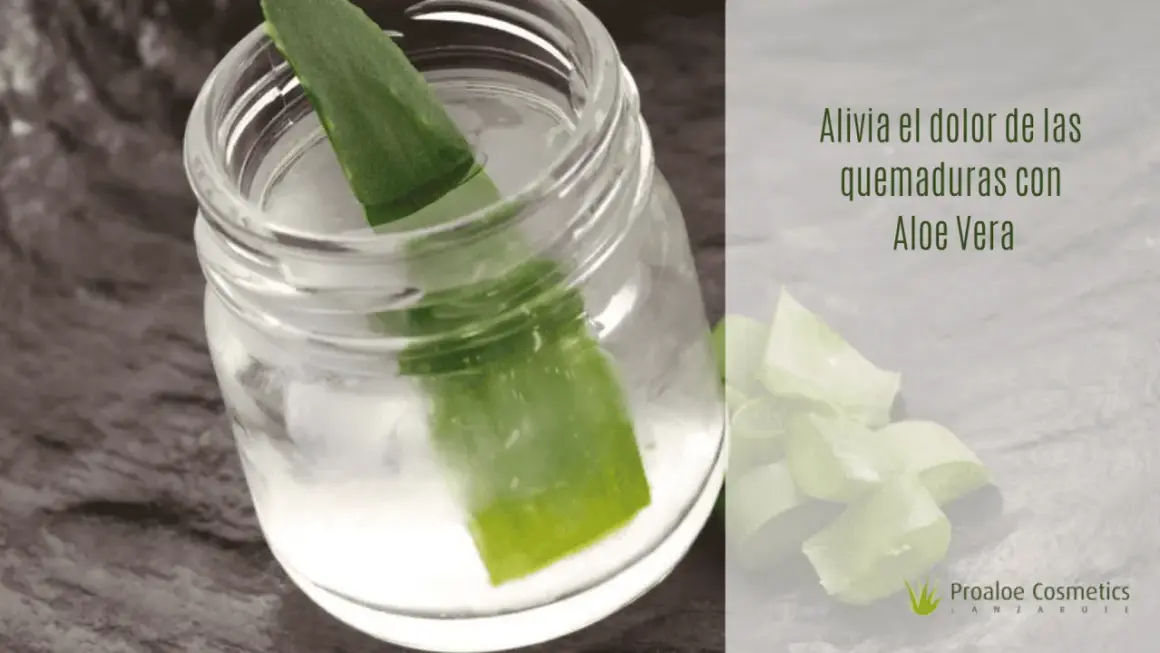 Hoja de aloe vera en un frasco con agua, ideal para aliviar quemaduras solares.